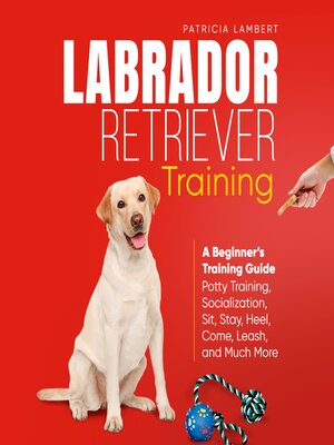 cover image of Labrador Retriever Training